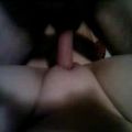gerbra
