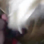 ��� �������