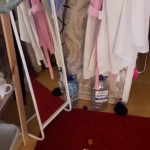 ���� ���� ����