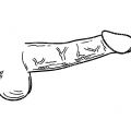 Strannic13