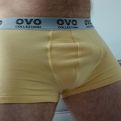 Ervi2000