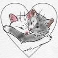 SexyCats