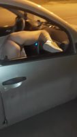 ��� ���� � ������ �� ��������