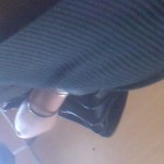 � ���������