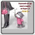cats123