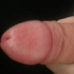 � �����