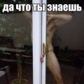 lisiy82