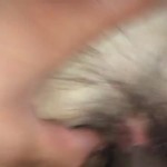��� � ������