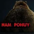 Shark-wan