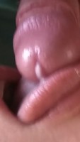 ����� ������� ��������