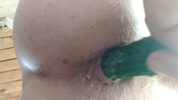 ������� ���� 1