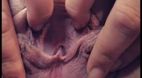 ������� �����