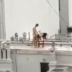 ���� �� ����� ����� �������.