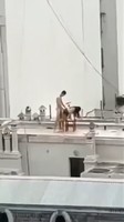 ���� �� ����� ����� �������.