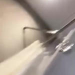 ��� ��� �����