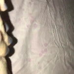 �����, 20 ���������� ����