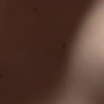 ������� ����� ������� ����