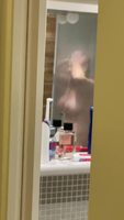 �� �������� �����