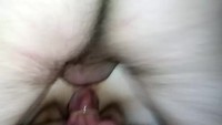 ������� �������������