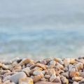 Sergey_88