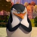 ALEXEI